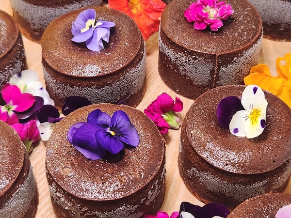 Belgian Chocolate Truffle Cake – Bakeries