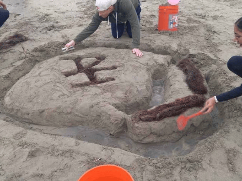 Team Building Beach Games and Castles – Experiences – photo 3