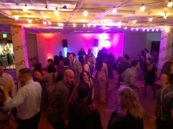 Wedding DJ and MC Package with Sound System and Microphones – DJs