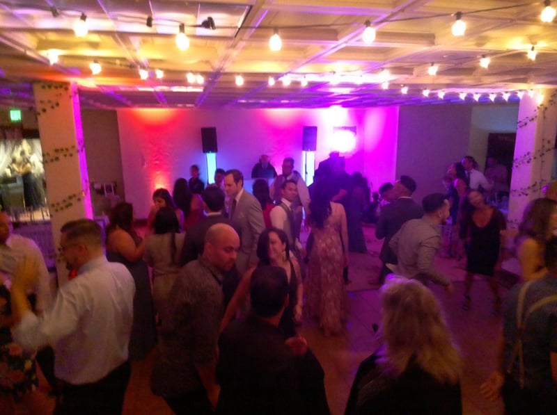 Wedding DJ and MC Package with Sound System and Microphones – DJs