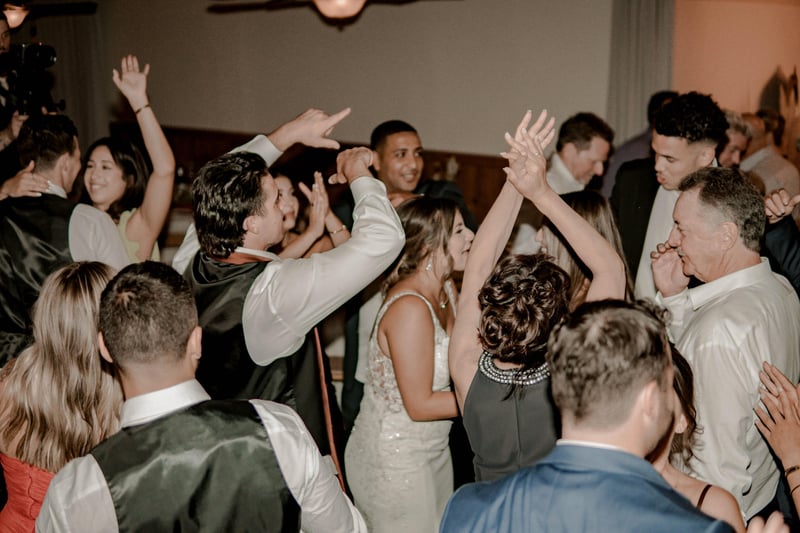 Vinyl Package Wedding DJ With Complete Sound and Lighting Setup – DJs – photo 3
