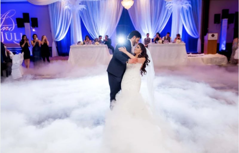 Wedding Reception DJ with MC, Microphones and Consultation – DJs – photo 2