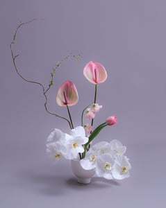 Blush and White Centerpiece Set of Two with Orchids and Tulips – Florists