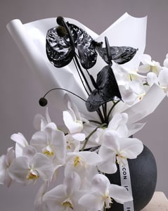 Sculptural Arrangement with White Orchids and Black Anthuriums – Florists