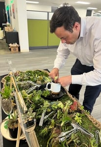 Succulent Arrangement Workshop for (Instructor Travels) – Experiences